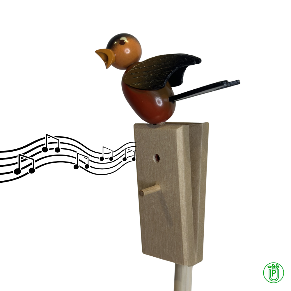 Singvogel