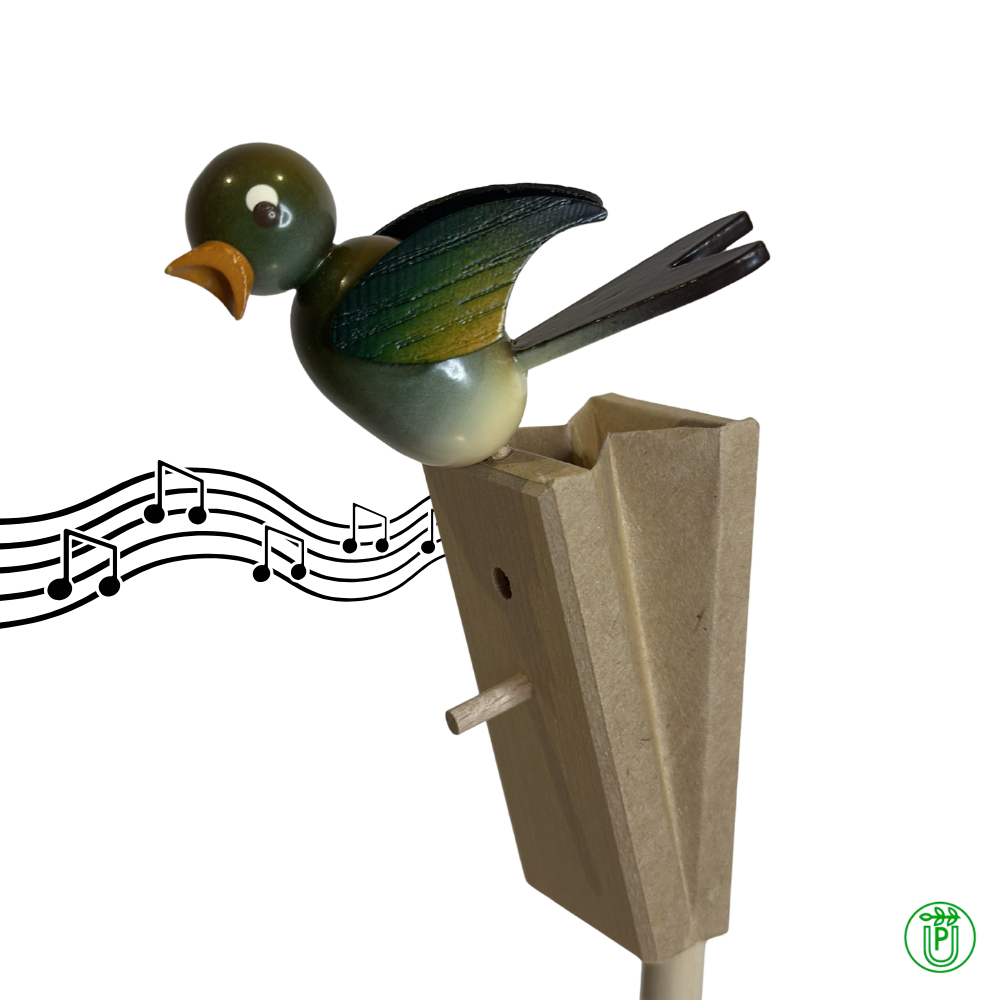 Singvogel
