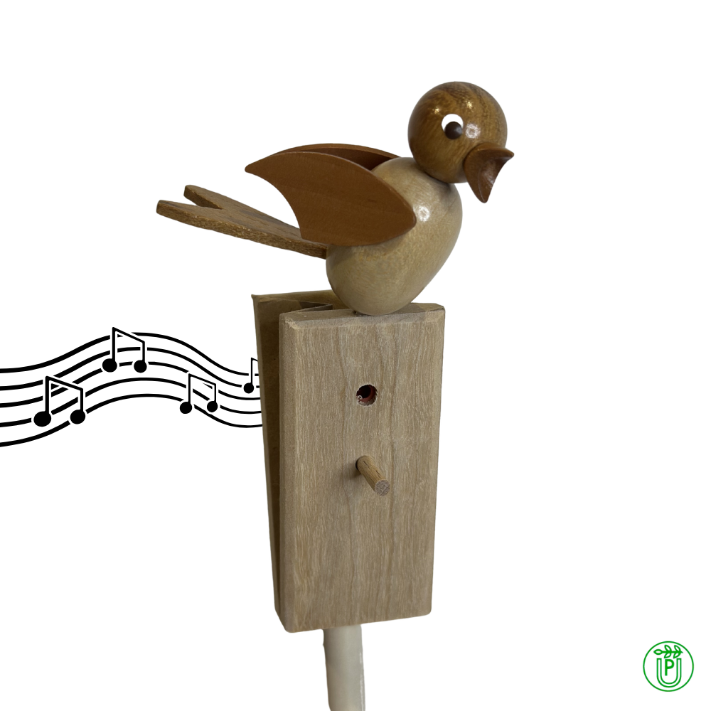 Singvogel