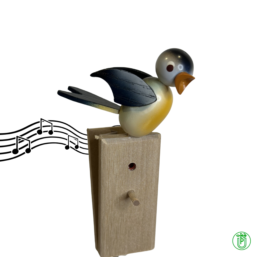 Singvogel