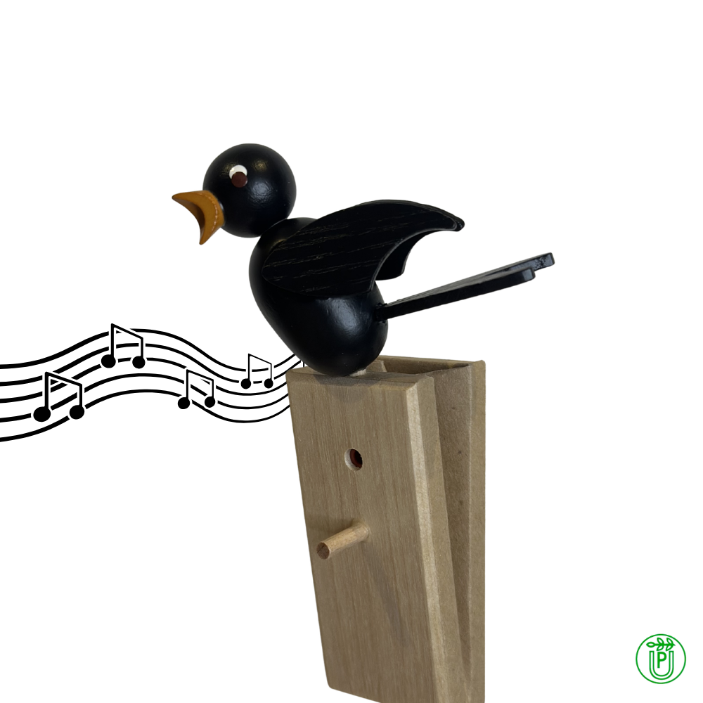 Singvogel